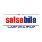 94.1 Salsabila FM